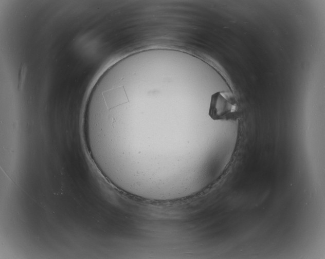 X0000103971146200810311519