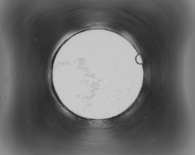 X0000103971149200810311519