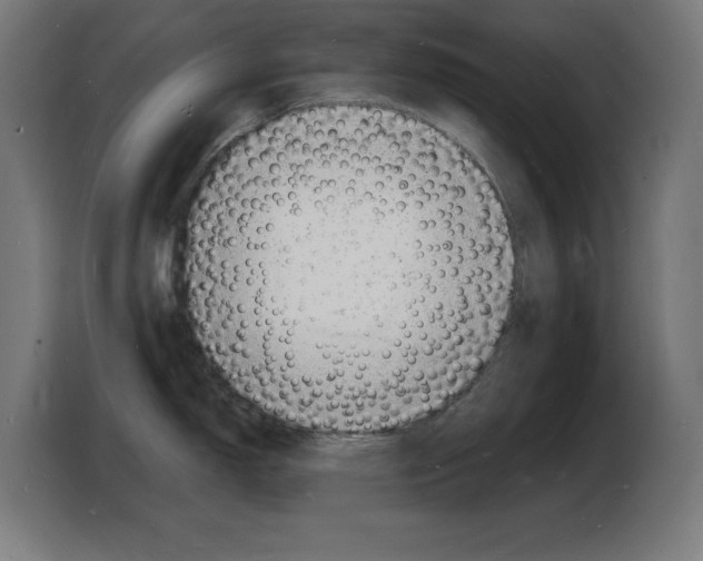 X0000103971150200810311519
