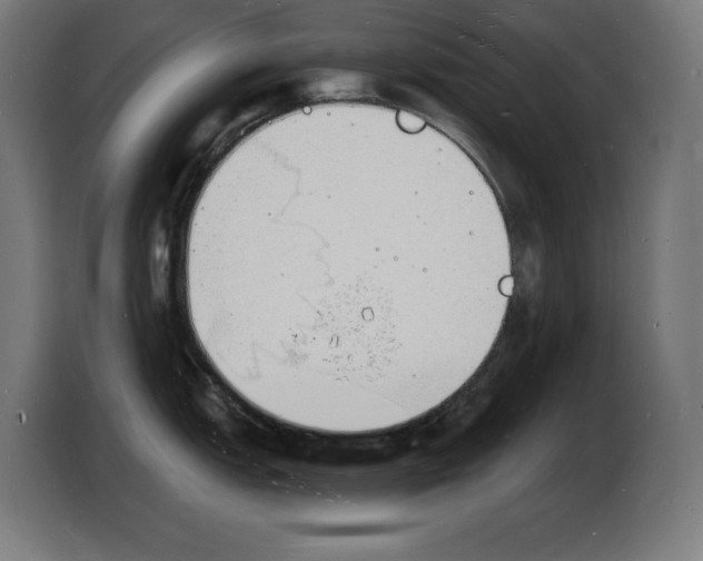 X0000103971151200810311519