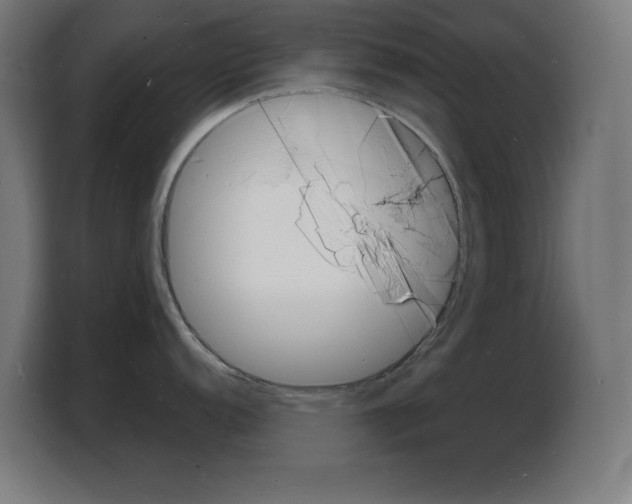 X0000103971152200810311519