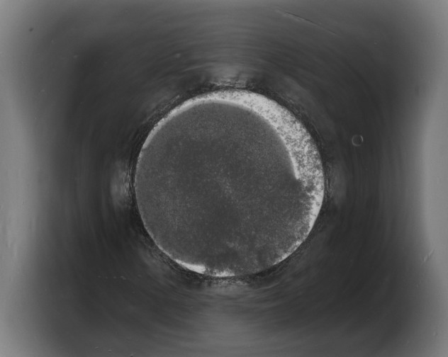 X0000103971154200810311519