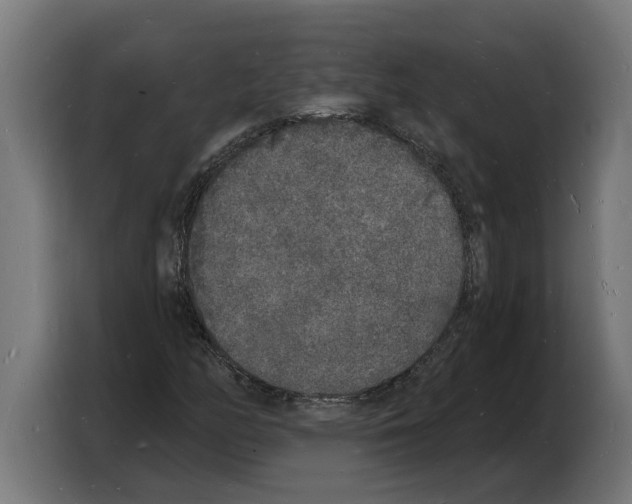 X0000103971158200810311519