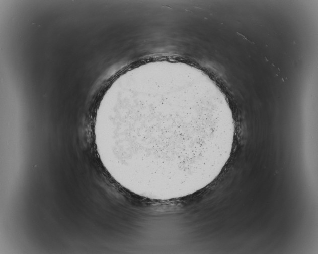 X0000103971159200810311519