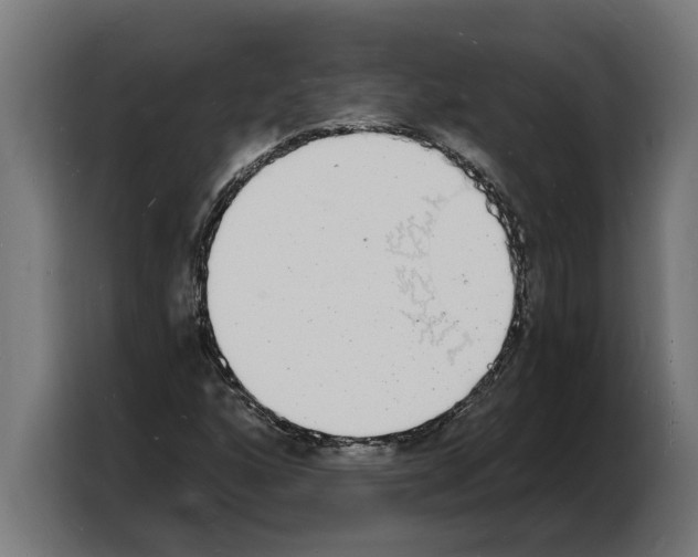X0000103971160200810311519