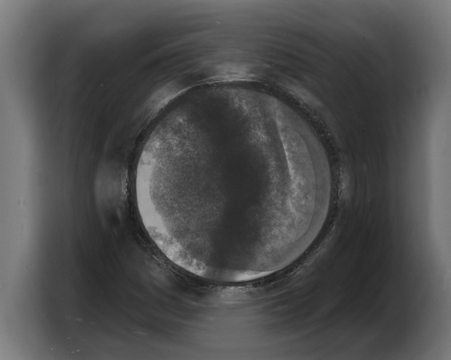 X0000103971161200810311519