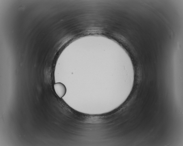 X0000103971162200810311519