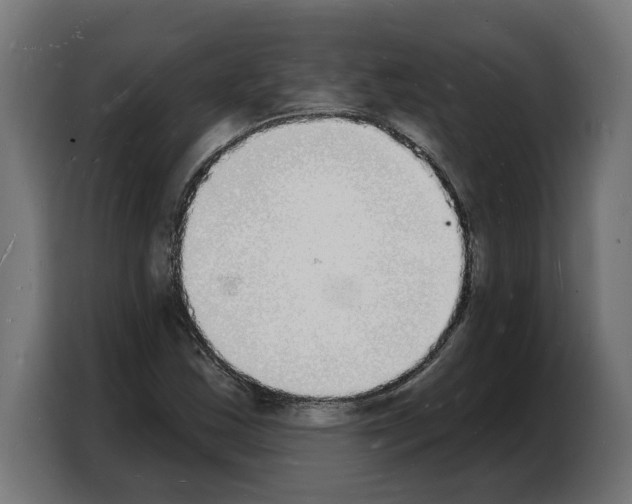 X0000103971163200810311519