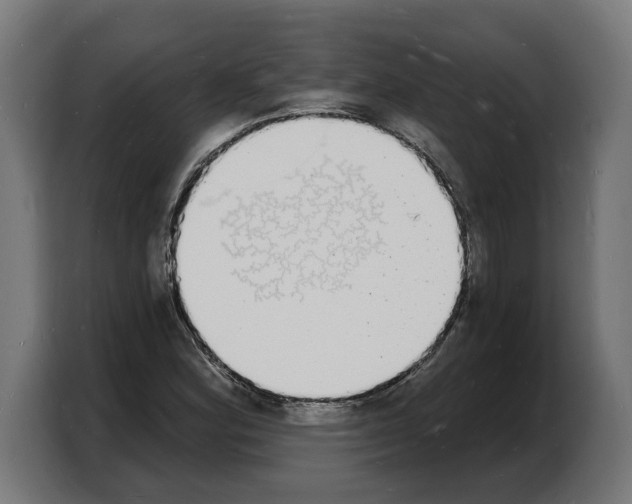X0000103971164200810311519
