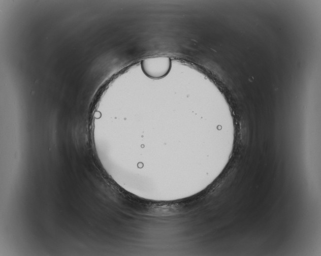 X0000103971165200810311519