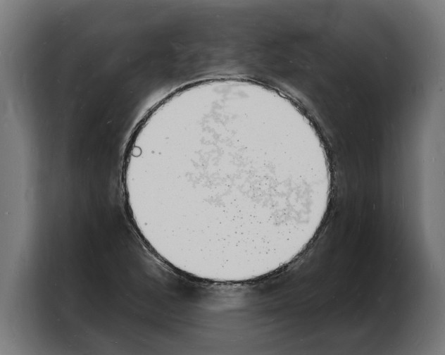 X0000103971168200810311518