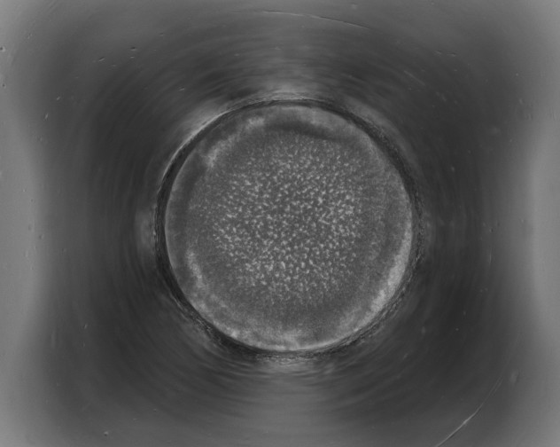 X0000103971170200810311518