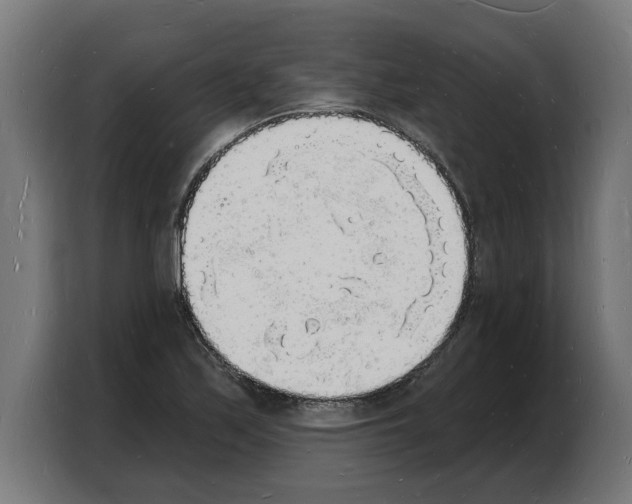 X0000103971171200810311518