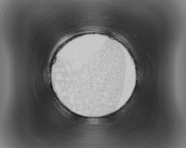 X0000103971172200810311518