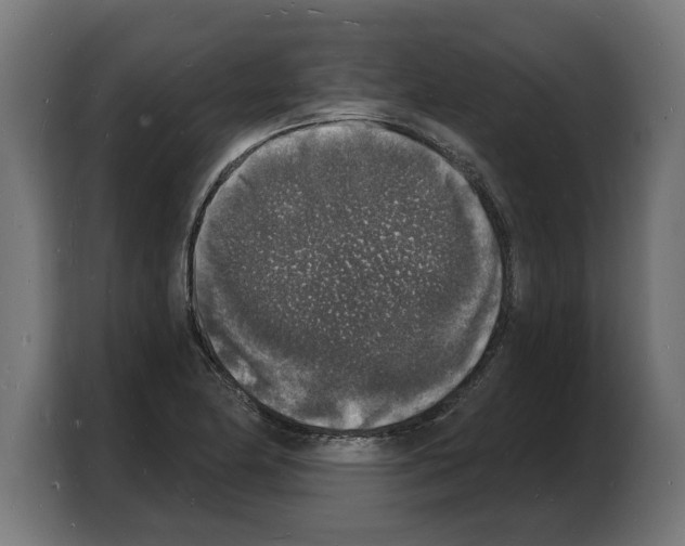 X0000103971174200810311518
