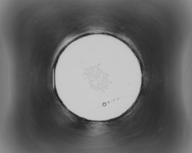 X0000103971175200810311518