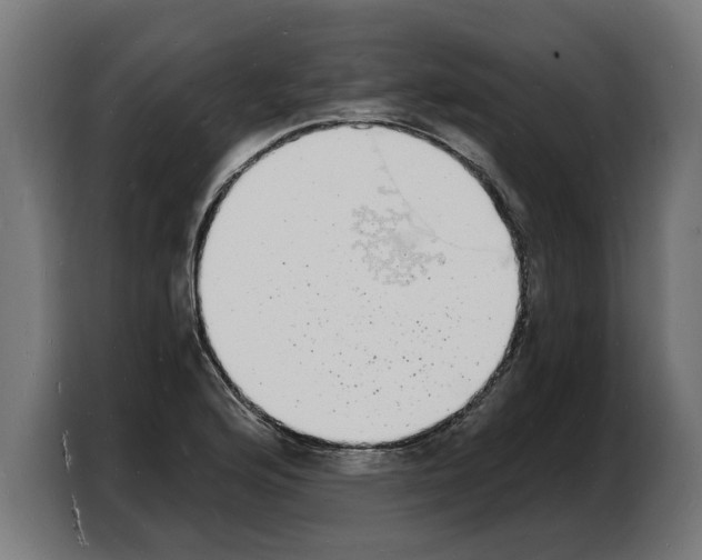 X0000103971176200810311518
