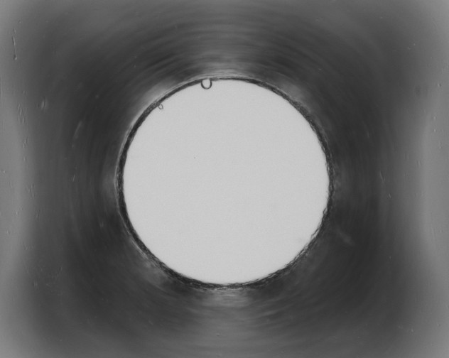 X0000103971181200810311518