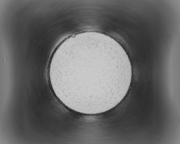 X0000103971182200810311518