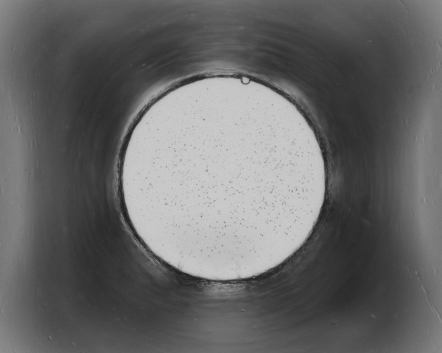 X0000103971183200810311518