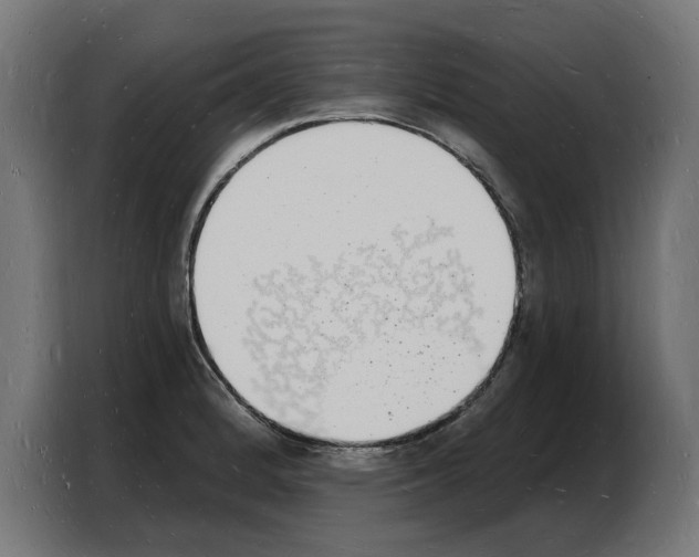 X0000103971184200810311518