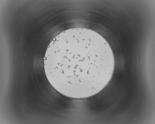 X0000103971185200810311518