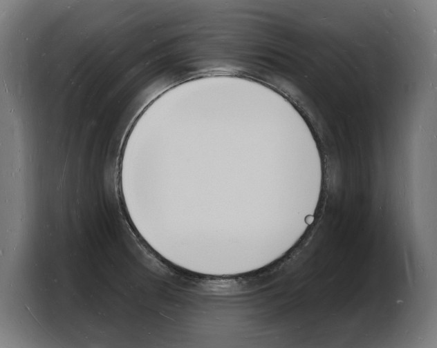 X0000103971186200810311518