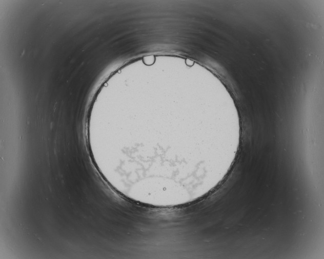 X0000103971188200810311518