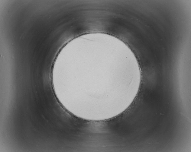 X0000103971189200810311518