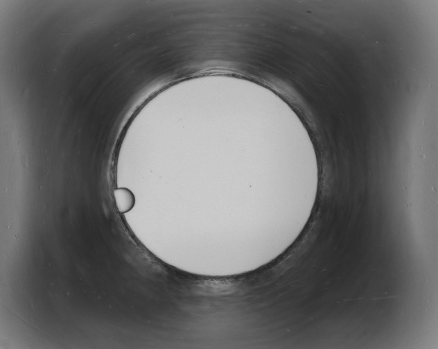 X0000103971190200810311518