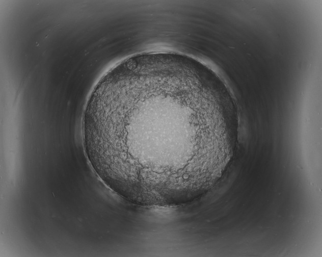 X0000103971191200810311518
