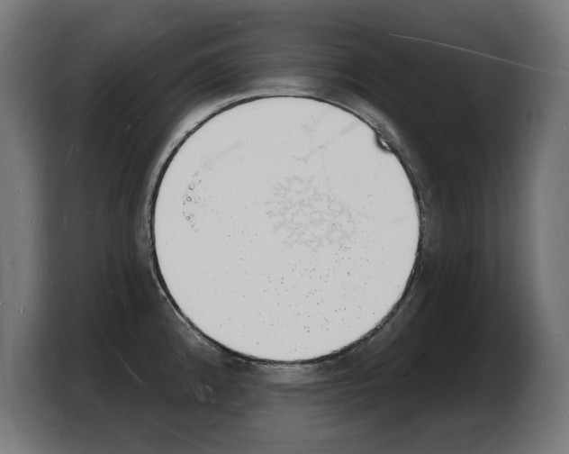 X0000103971192200810311518