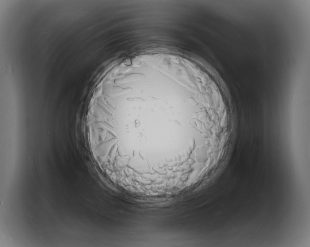 X0000103971193200810311518
