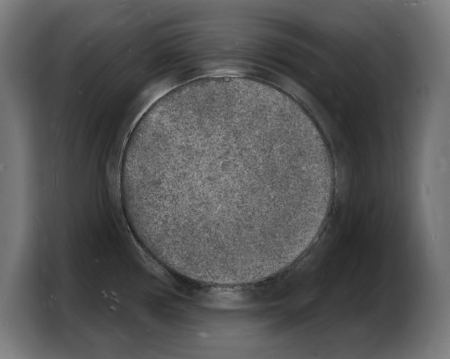 X0000103971194200810311518