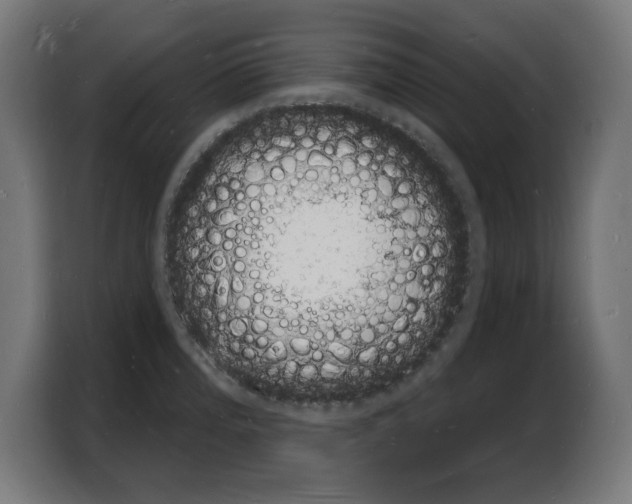 X0000103971196200810311518