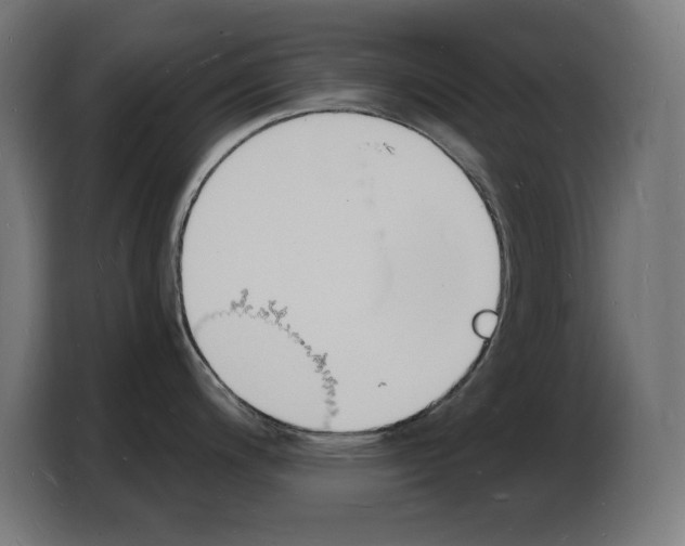 X0000103971200200810311518