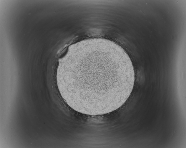X0000103971201200810311517