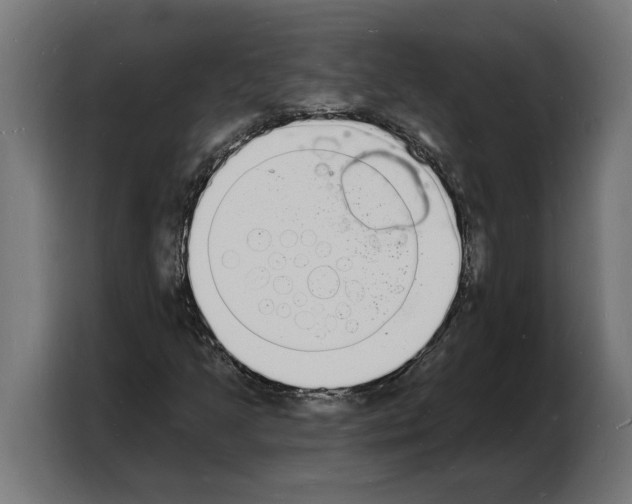X0000103971205200810311518