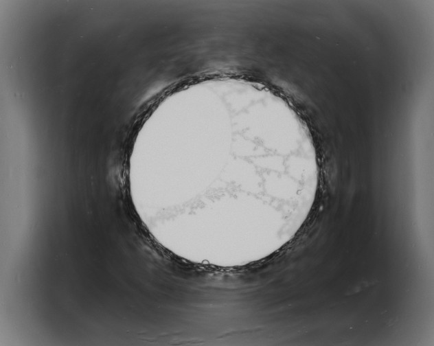 X0000103971206200810311518