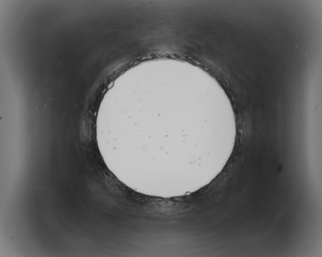 X0000103971207200810311518