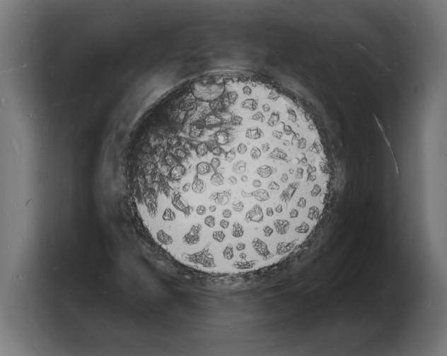 X0000103971208200810311518