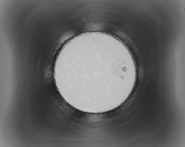 X0000103971210200810311518