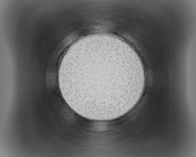 X0000103971211200810311518