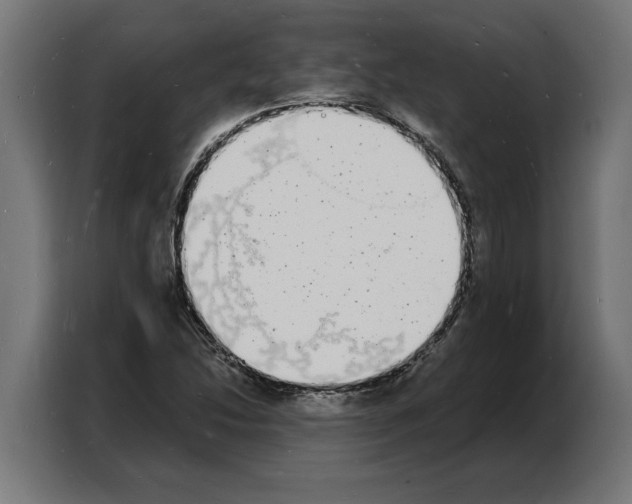 X0000103971214200810311518