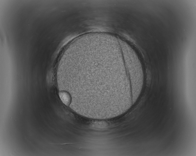 X0000103971215200810311518
