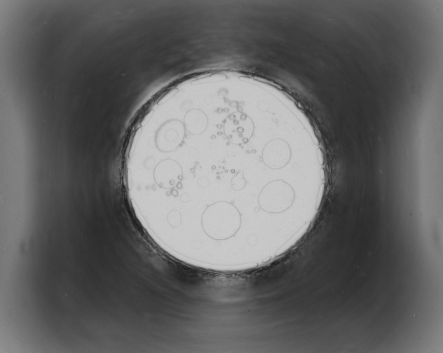 X0000103971216200810311518