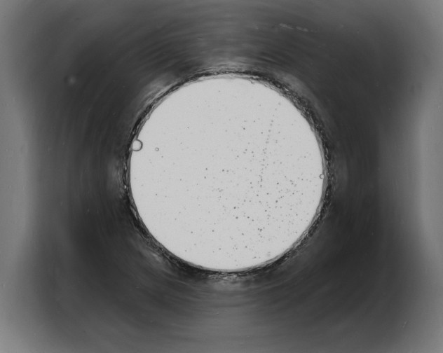 X0000103971217200810311518