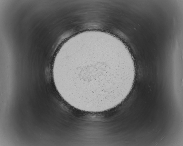 X0000103971218200810311518