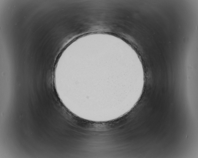 X0000103971220200810311518