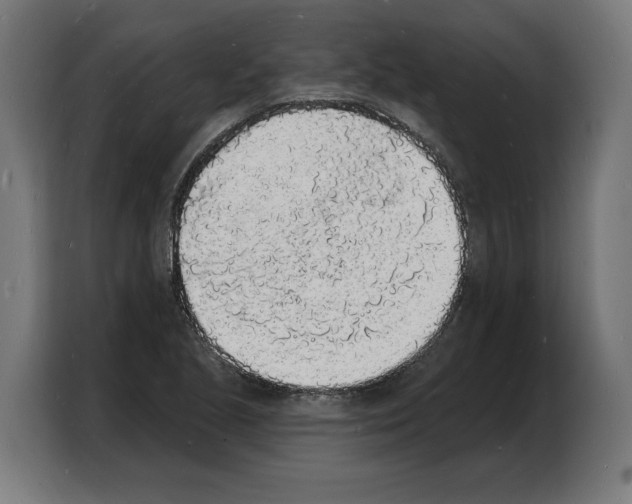 X0000103971221200810311518